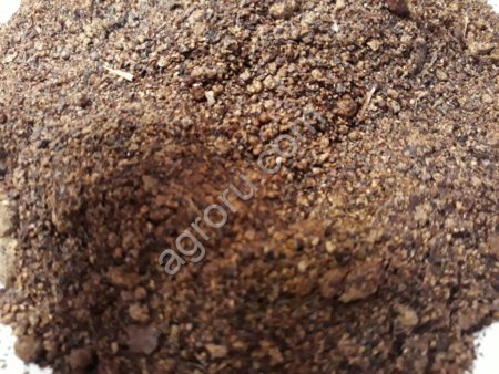 СУХАЯ ПАТОКА