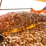 БПС-2060 Бункер приёмный сортировочный для овощей