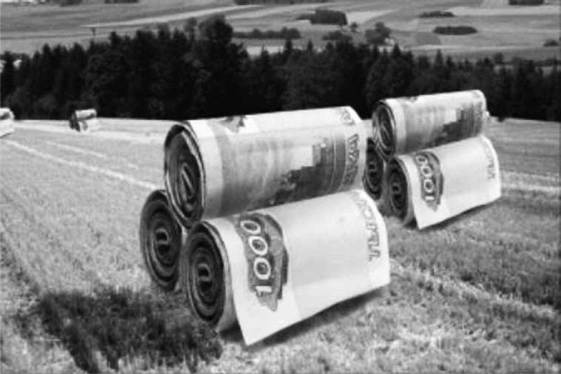 Ущерб от засухи в Кузбассе оценивается в 4 млрд рублей