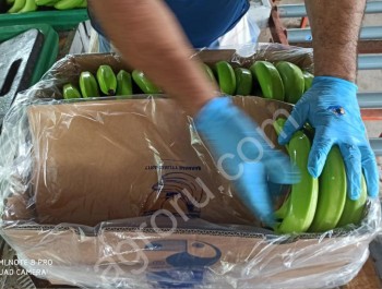 Бананы оптом от производителя