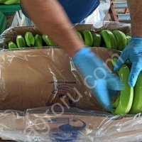Бананы оптом от производителя