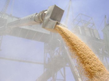 Украина получила от экспорта аграрной продукции $11 млрд за год