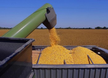 Ход уборки: на 2 декабря намолочено 108,6 млн.т зерна