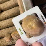 Картофель Бриз