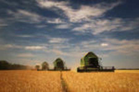 Хлеборобы Тюменской области обмолотили 15% зерновых культур