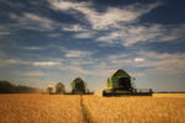 Хлеборобы Тюменской области обмолотили 15% зерновых культур