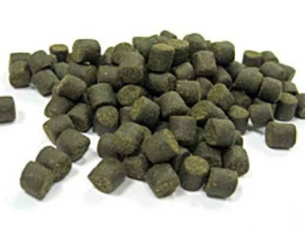 Кыргызстан может потерять производство рыбного корма