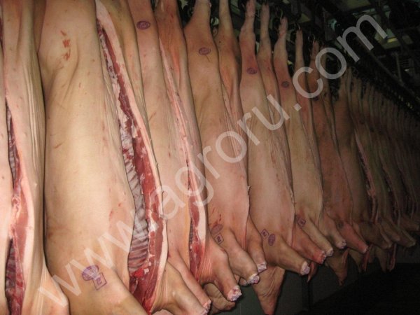 Роспотребнадзор Карачаево-Черкесии: о птичьем гриппе забыли неоправданно