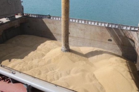 Минсельхоз до конца января направит в кабмин предложения по экспортной пошлине на пшеницу