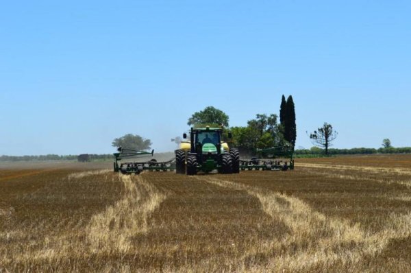 В Украине намолочено 52,2 млн. тонн зерна