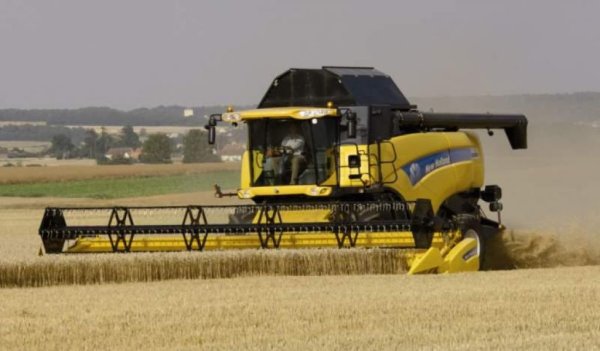 Ход уборки: на 3 августа намолочено 53,9 млн т зерна
