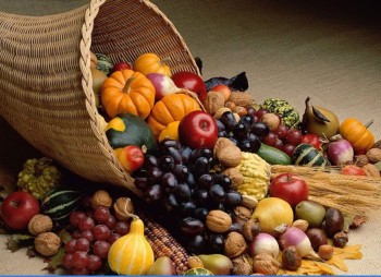 Обзор внешней торговли фруктами и овощами в России в декабре 2010 года