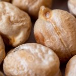 Нут Зоовит. Калибр 8+.