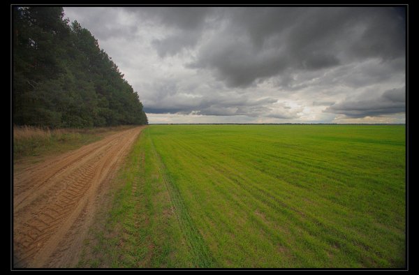 На Кубани почти 100% озимых обработали против вредителей