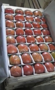 Розовые помидоры Пинк Парадайз