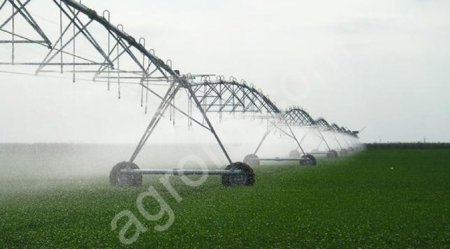 Овощное хозяйство с поливными землями