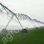 Овощное хозяйство с поливными землями