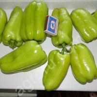 Перец болгарский