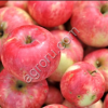 Домашние яблоки