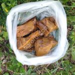 Живица лиственницы