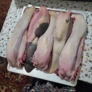 язык говяжий