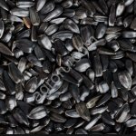 Семечки подсолнечника