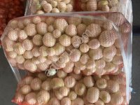 Лук репчатый очищенный