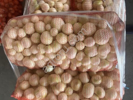 Лук репчатый очищенный