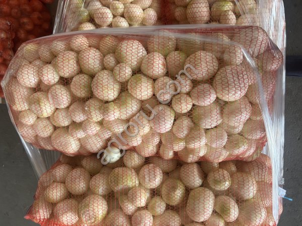 Лук репчатый очищенный