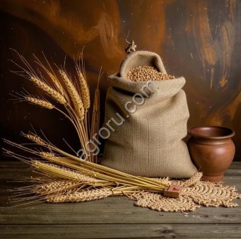 Пшеница Протеин 12.5 на экспорт