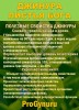 Фиточай Джинура Прокумбенс. Гинура. Сушёный лист.