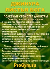 Фиточай Джинура Прокумбенс. Гинура. Сушёный лист.