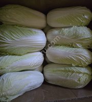 Пекинская капуста