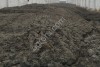 Органическо-минеральное удобрение Сапропель
