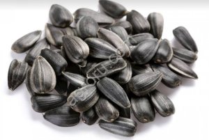 Подсолнечник Закупаю Самовывоз