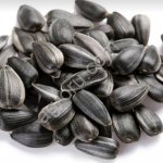 Подсолнечник Закупаю Самовывоз