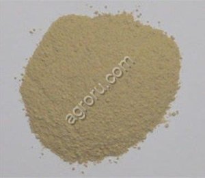 Молотый топинамбур (100%). Пребиотик. Внесение 3-6/100 г.