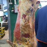 Мясо говядины в П/т охл-зам.