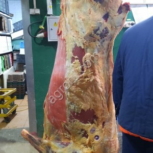 Мясо говядины в П/т охл-зам.
