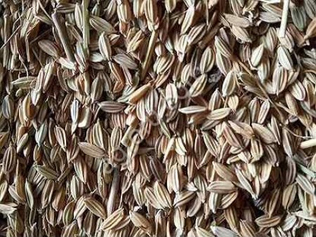 Рисовые отходы от производителя