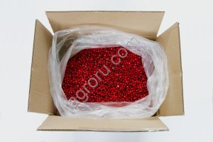 Брусника (Карелия)