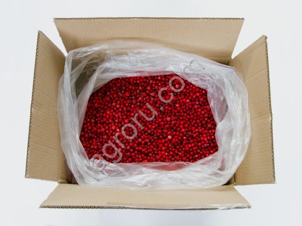 Брусника (Карелия)