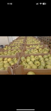 Яблоки качество