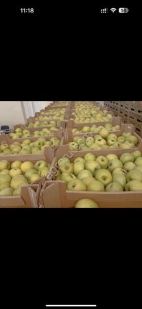 Яблоки качество