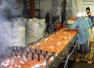 Линия производства морковного пюре и сока