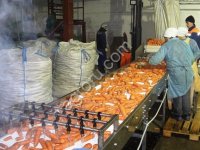 Линия производства морковного пюре и сока