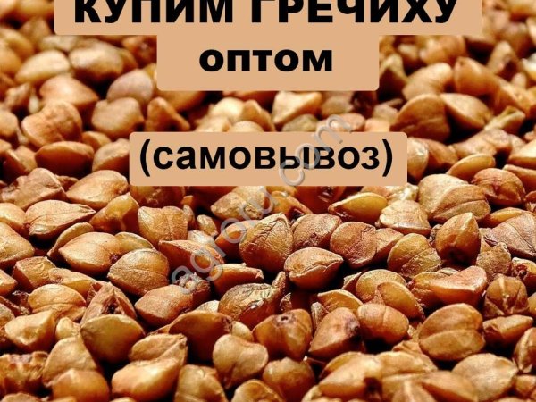 гречиху оптом, самовывоз
