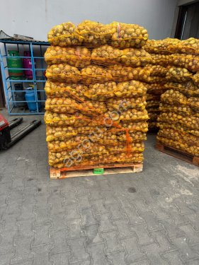 Овощи