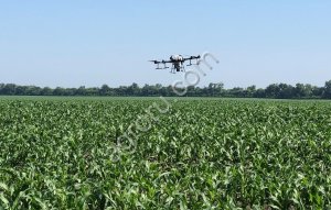 Авиация для борьбы с гусеницей лугового мотылька и совкой