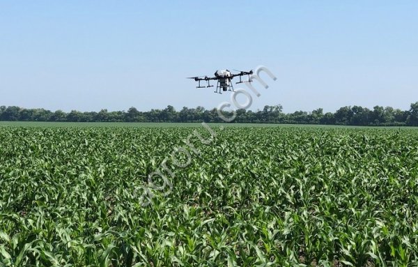 Авиация для борьбы с гусеницей лугового мотылька и совкой